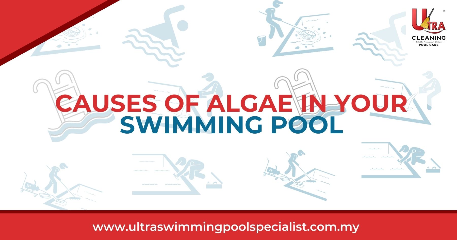 Causes of Algae in Your Swimming Pool